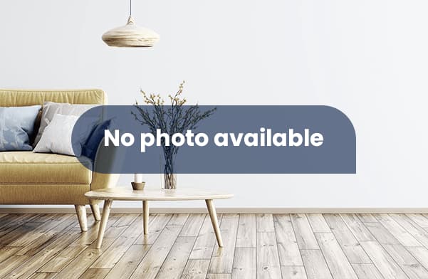 show all photos of Nes